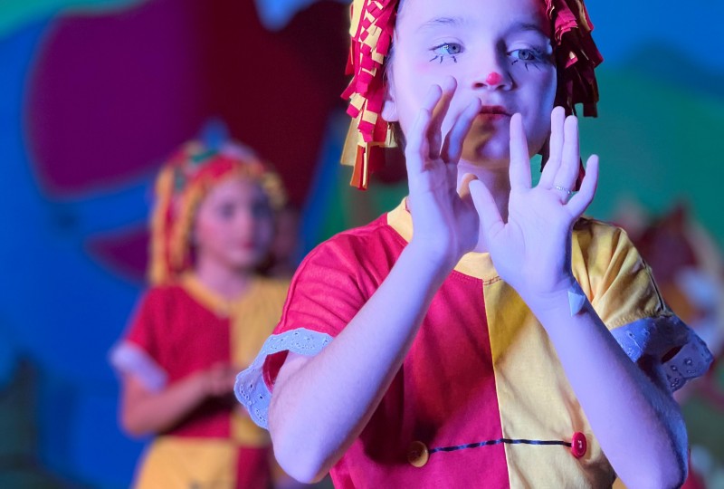 Sítio do Picapau Amarelo - o musical (1º e 2º ano)