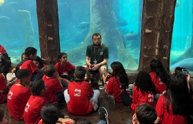 Saída Pedagógica - Aquário e Impulso Park em São Paulo