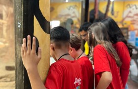 Saída Pedagógica - Aquário e Impulso Park em São Paulo